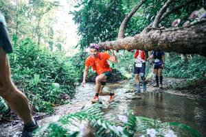 BIB: 
                            <button type="button" onclick="openModal(25441661)" class="btn btn-primary btn-sm float-right btn-popup" data-toggle="modal" data-target=".modal-high-quality">
                        <i class="fas fa-shopping-cart"></i> Add to Cart
                    </button>
                                            <button type="button" onclick="isThisMe(25441661, true)" class="btn btn-success btn-sm float-right btn-popup btn-isme hidden" data-toggle="tooltip" data-placement="bottom" title="นี่คือรูปของคุณใช่ไหม คลิกที่นี่เพื่อเอาเข้าอัลบั้ม">
                        <i class="fas fa-plus"></i> Add to album
                    </button>
                    <button type="button" onclick="isThisMe(25441661, false)" class="btn btn-warning btn-sm float-right btn-popup btn-isnotme hidden">
                        <i class="fas fa-ban"></i> Remove from album
                    </button>